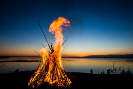 Kokko